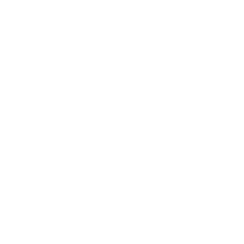 Escaner intraoral