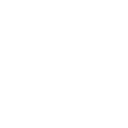 protesis dental